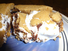 Incredible Homemade Ooey and Gooey Peanut Butter S'mores Bars (9" x 9") Tray