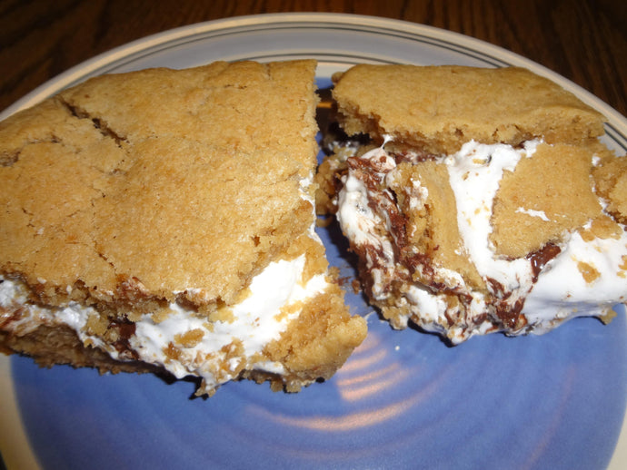 Incredible Homemade Ooey and Gooey Peanut Butter S'mores Bars (9