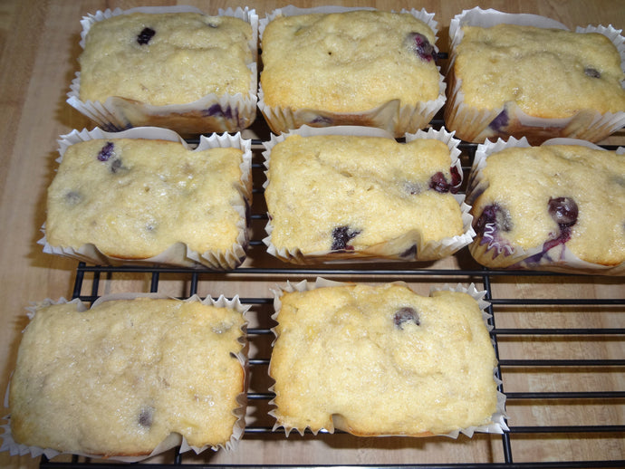 Yummy Homemade Buttermilk Banana Blueberry Bread Single Serving Loaves (10 Single Serving Loaves)