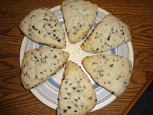 Lightly Sweetened Homemade Chocolate Chip "American" Style Scones (8 Scones)