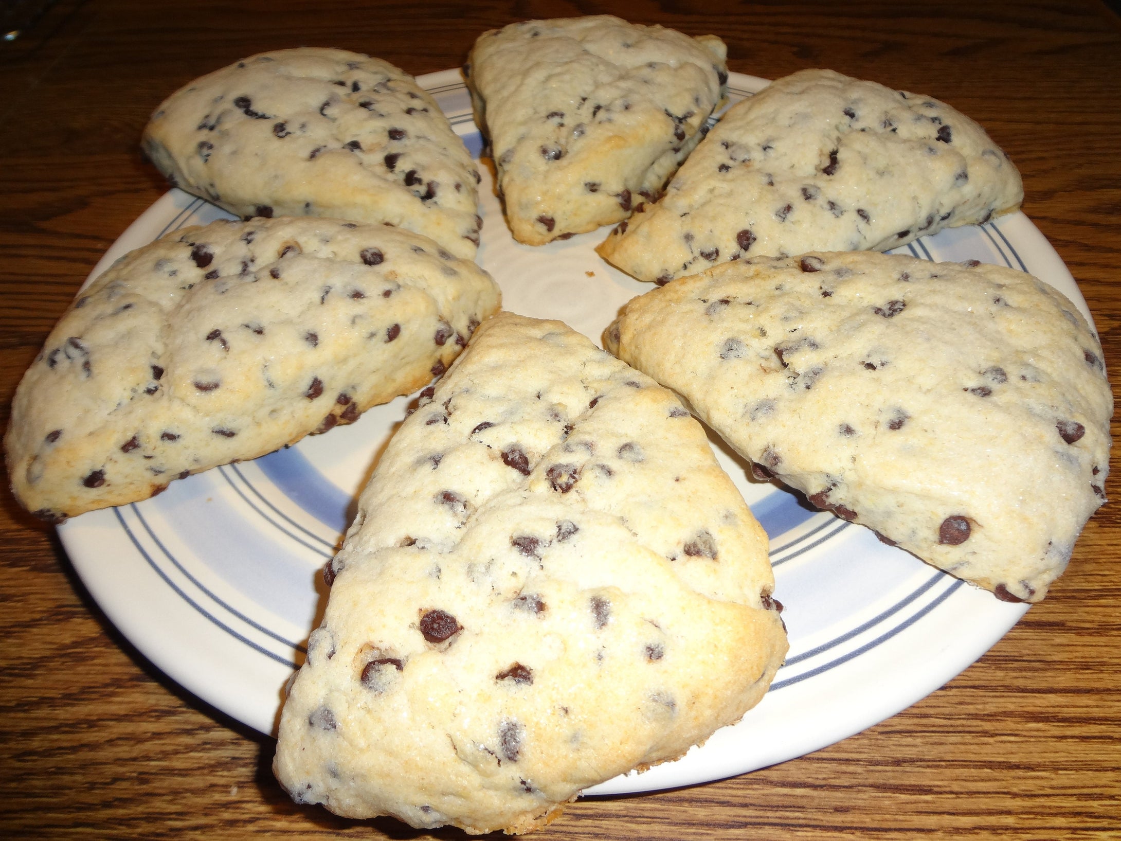 Lightly Sweetened Homemade Chocolate Chip 